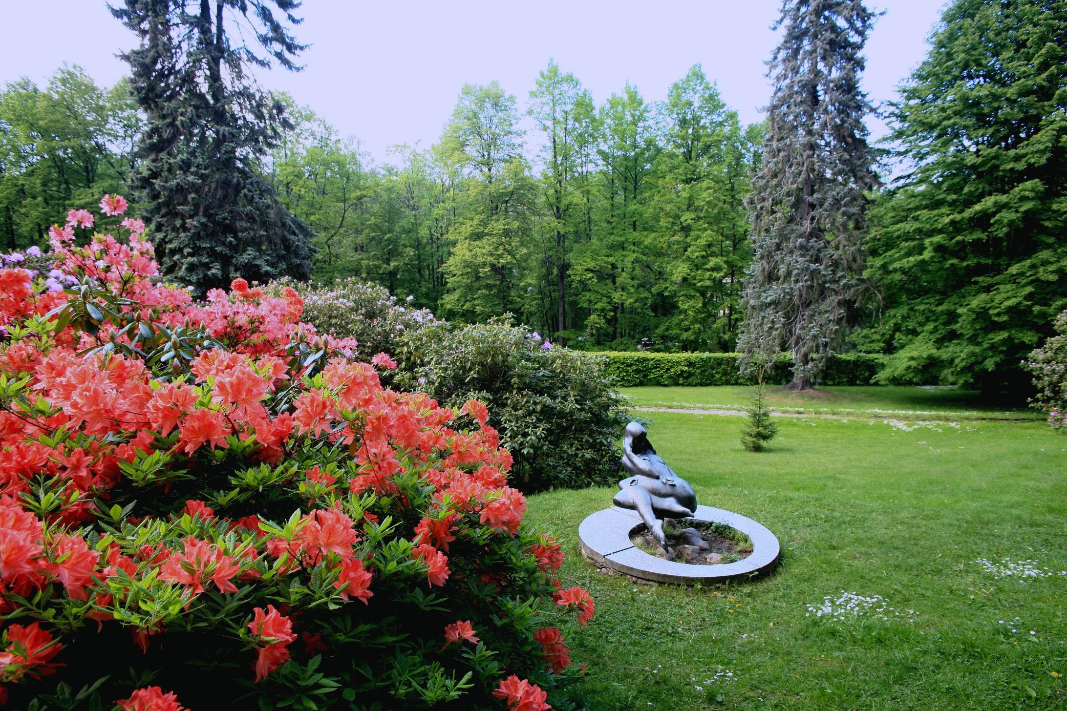 Spa Resort Libverda - Hotel Panorama Lázně Libverda Extérieur photo